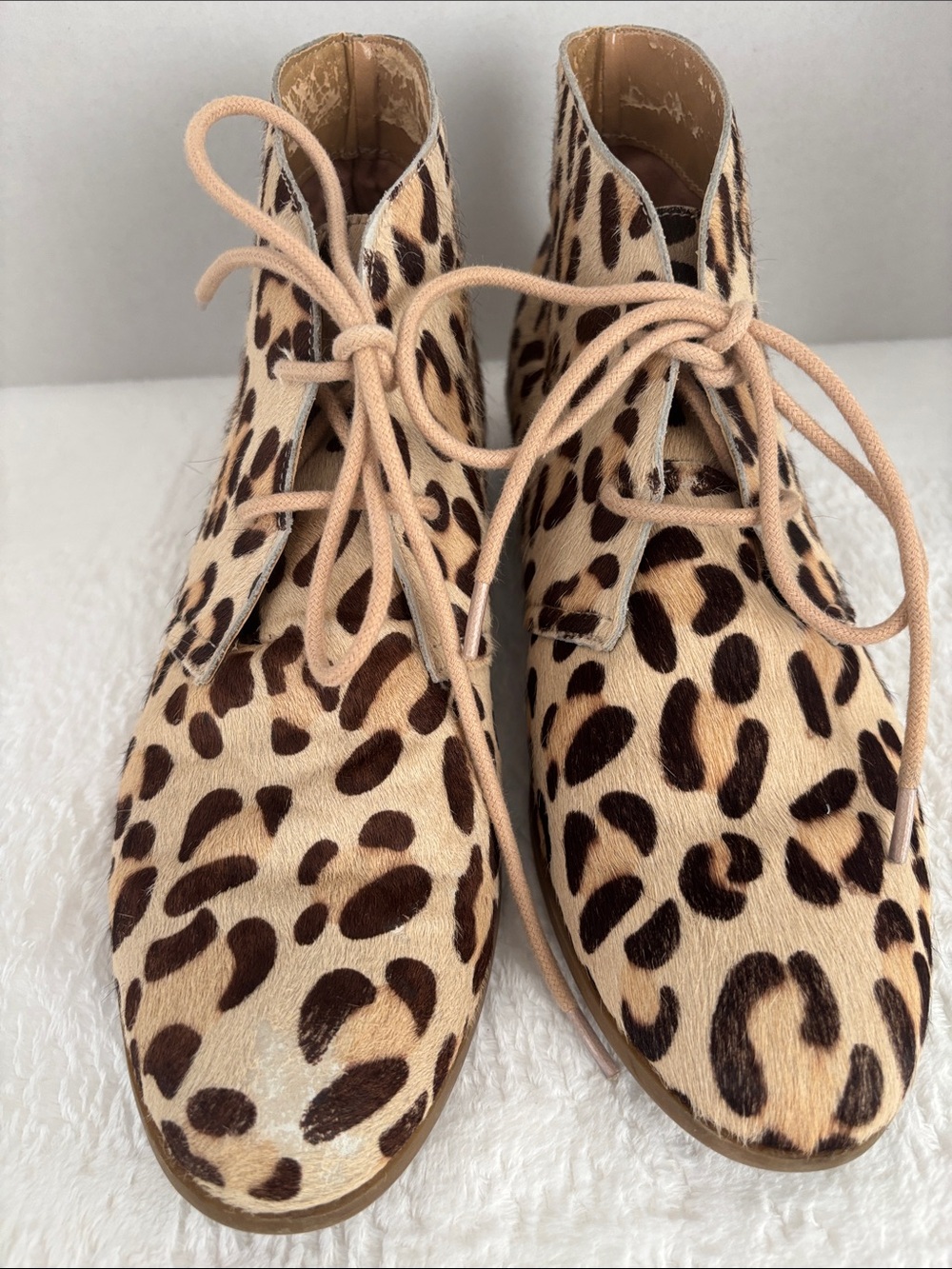 Steve Madden calf skin Leopard Print Lace-Up Ankle Boots - Beige/Brown - Picture 3 of 9